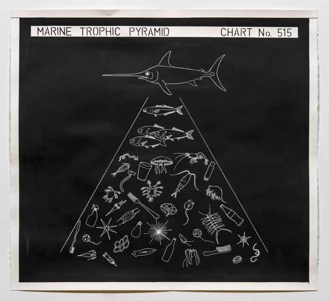 Marine Trophic Pyramid by Mark Dion contemporary artwork
