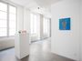 Contemporary art exhibition, Takashi Hara, Cochons la voie ! at A2Z Art Gallery, Paris, France