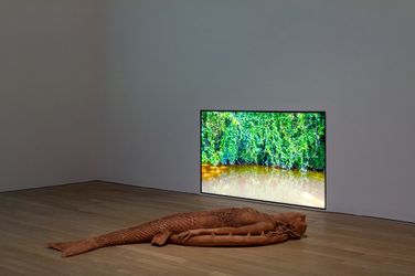 Adriana Bustos, Pejerreina (2023). Mud, video. 9 min. Exhibition view: Green Snake: women-centred ecologies, Tai Kwun Contemporary, Hong Kong (20 December 2023–1 April 2024). Courtesy Tai Kwun. Photo: Kwan Sheung Chi.Image from:Shapeshifting Possibilities: Green Snake at Tai KwunRead FeatureFollow ArtistEnquire