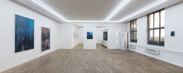 Exhibition view: Romain Bernini, Tristes Tropiques, HdM Gallery, Beijing (5 December 2020–16 January 2021). Courtesy HdM Gallery.