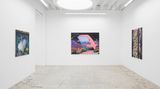 Contemporary art exhibition, Melissa Brown, West Coast Paintings at Anat Ebgi, Mid Wilshire, United States
