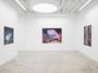 Contemporary art exhibition, Melissa Brown, West Coast Paintings at Anat Ebgi, Mid Wilshire, USA
