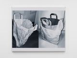 Double Bag by James White contemporary artwork 1