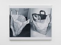 Double Bag by James White contemporary artwork painting