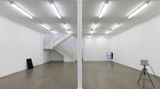 Contemporary art exhibition, Clinton Watkins, lowercase at Starkwhite, Auckland, New Zealand