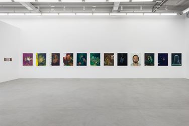 Exhibition view: Matthieu Ronsse, A vine wound around the vaulted grotto ( B S ° ), Almine Rech Gallery, Brussels (24 May–18 July 2018). Courtesy Almine Rech Gallery. Photo: Hugard & Vanoverschelde photography.