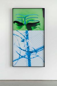 Raised Eyebrows/Furrowed Foreheads: Fence (with Barbed Wire) by John Baldessari contemporary artwork mixed media