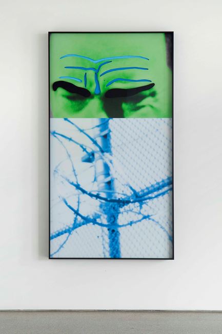 Raised Eyebrows/Furrowed Foreheads: Fence (with Barbed Wire) by John Baldessari contemporary artwork