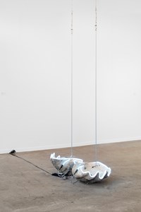 venus anadyomene by Elaine Cameron-Weir contemporary artwork mixed media