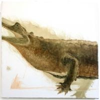 Taxidermied Gharial at the Peabody Museum by Fiza Khatri contemporary artwork painting