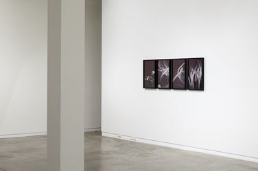 Exhibition view: Anne Noble, Observations from the Critical Zone, Two Rooms, Auckland (1–30 November 2019). Courtesy Two Rooms.