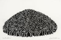 Cork Dome by David Nash contemporary artwork drawing