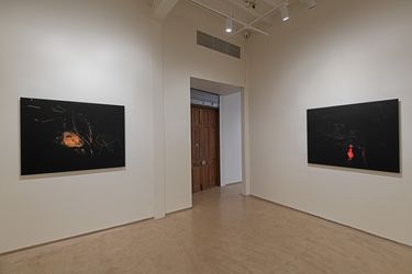 Exhibition view: Soumya Sankar Bose, A Discreet Exit through Darkness, Experimenter, Colaba (12 January–25 February 2023). Courtesy Experimenter. 