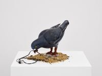 Empowered Pigeon 3 by Laure Prouvost contemporary artwork sculpture