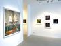 Contemporary art exhibition, Denis Dailleux, Le pouvoir des fleurs at Galerie—Peter—Sillem, Frankfurt, Germany
