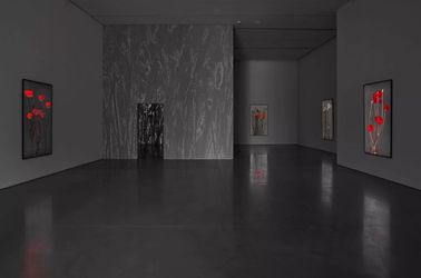 Contemporary art exhibition, Michal Rovner, Pragim at Pace Gallery, 540 West 25th Street, New York, United States