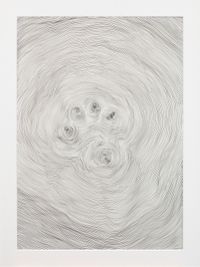 Propagazione by Giuseppe Penone contemporary artwork works on paper, drawing