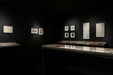 Exhibition view: Xper.Xr., Tailwhip, Empty Gallery, Hong Kong (17 April–24 July 2021). Courtesy Empty Gallery.