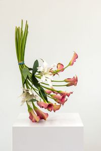 Arrangement TM-596 by Tony Matelli contemporary artwork painting, sculpture