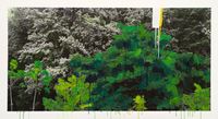 Study of green-white flower by Honggoo Kang contemporary artwork mixed media