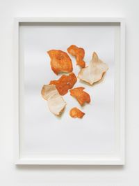 Mandarina by Jorge Macchi contemporary artwork painting