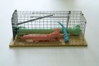 Bone Trap by Marten Schech contemporary artwork sculpture