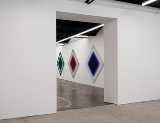 Jonny NiescheAtoms Encode, 2022 (installation view)Courtesy of the artist and 1301SW, Melbourne  