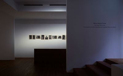 Installation images courtesy of Taka Ishii Gallery, Tokyo / Photo: Kenji Takahashi.