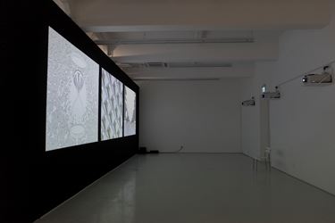 Exhibition view: Tang Maohong, Noa Noa 诺阿·诺阿, ShanghART, Singapore (4 May–14 July 2019). Courtesy ShanghART.
