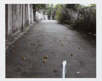 Apricot by Honggoo Kang contemporary artwork photography