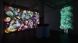 Contemporary art exhibition, Jennifer Steinkamp, Still-Life at Lehmann Maupin, Hong Kong, SAR, China
