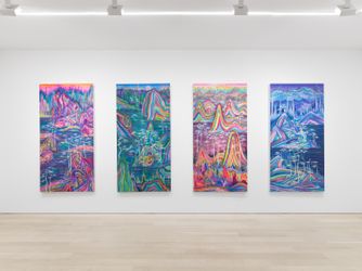 Exhibition view: Huang Yuxing, An Absolute Power We Cannot Find, Almine Rech New York (3 November–17 December 2022). Courtesy Almine Rech.