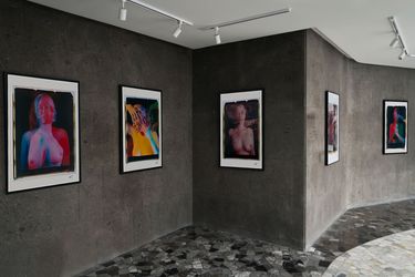 Exhibition view: Issa Salliander and Natalie White, Virgina Sins, Galeria Hilario Galguera, Mexico City (5 February–5 April 2024). Courtesy Galeria Hilario Galguera.