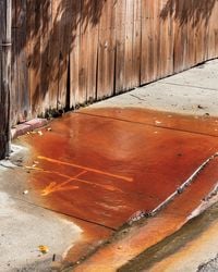 Rust, Hollywood by Anastasia Samoylova contemporary artwork photography