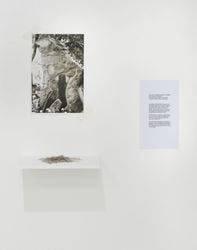 Exhibition view: Shilpa Gupta, Neuer Berliner Kunstverein (n.b.k.), Berlin (15 September 2021–21 January 2022). Courtesy n.b.k. Photo: n.b.k./Jens Ziehe.Image from:Shilpa Gupta's Dialogue of SlownessRead ConversationFollow ArtistEnquire