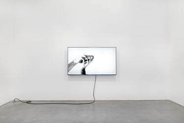 Exhibition view: Group Exhibition, Haptic Feedback, Galerie Thomas Schulte, Berlin(18 January–29 February 2020). Courtesy Galerie Thomas Schulte, Berlin. Photo: ©Stefan Haehnel.