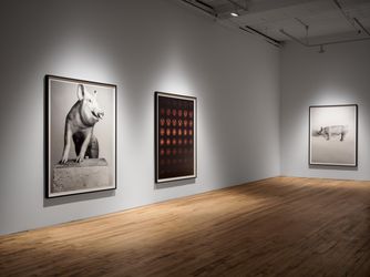 Exhibition view: Heji Shin, THE BIG NUDES, 52 Walker, New York (22 July–8 October 2023). Courtesy 52 Walker, New York.