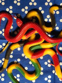 Snakes on a Bandanna by Roe Ethridge contemporary artwork photography