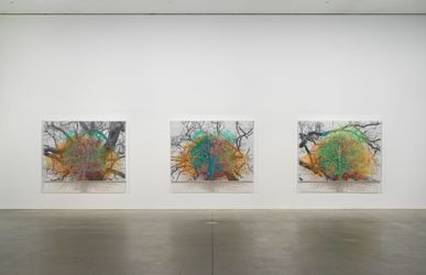 Exhibition view: Charles Gaines, Multiples of Nature, Trees and Faces, Hauser & Wirth, London (online from 29 January–1 May 2021). © Charles Gaines. Courtesy the artist and Hauser & Wirth. Photo: Alex Delfanne.