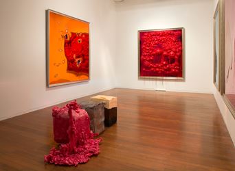 Dale Frank, Sabco Peroxide, 2016, Exhibition view, Roslyn Oxley9 Gallery, Sydney. Courtesy Roslyn Oxley9 Gallery, Sydney.