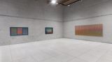 Contemporary art exhibition, Carlos Cruz-Diez, Color and Line in Motion at Galeria RGR, Mexico City