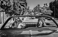 Chateau Marmont by David Yarrow contemporary artwork photography