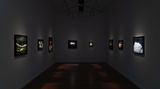 Contemporary art exhibition, Louise Hearman, Louise Hearman at Roslyn Oxley9 Gallery, Sydney, Australia