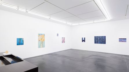 Exhibition view: Group exhibition, Daichi Takagi, Lucía Vidales, Hiroka Yamashita, Taka Ishii Gallery, Tokyo (3–31 October 2020). Courtesy Taka Ishii Gallery, Tokyo. Photo: Kenji Takahashi.