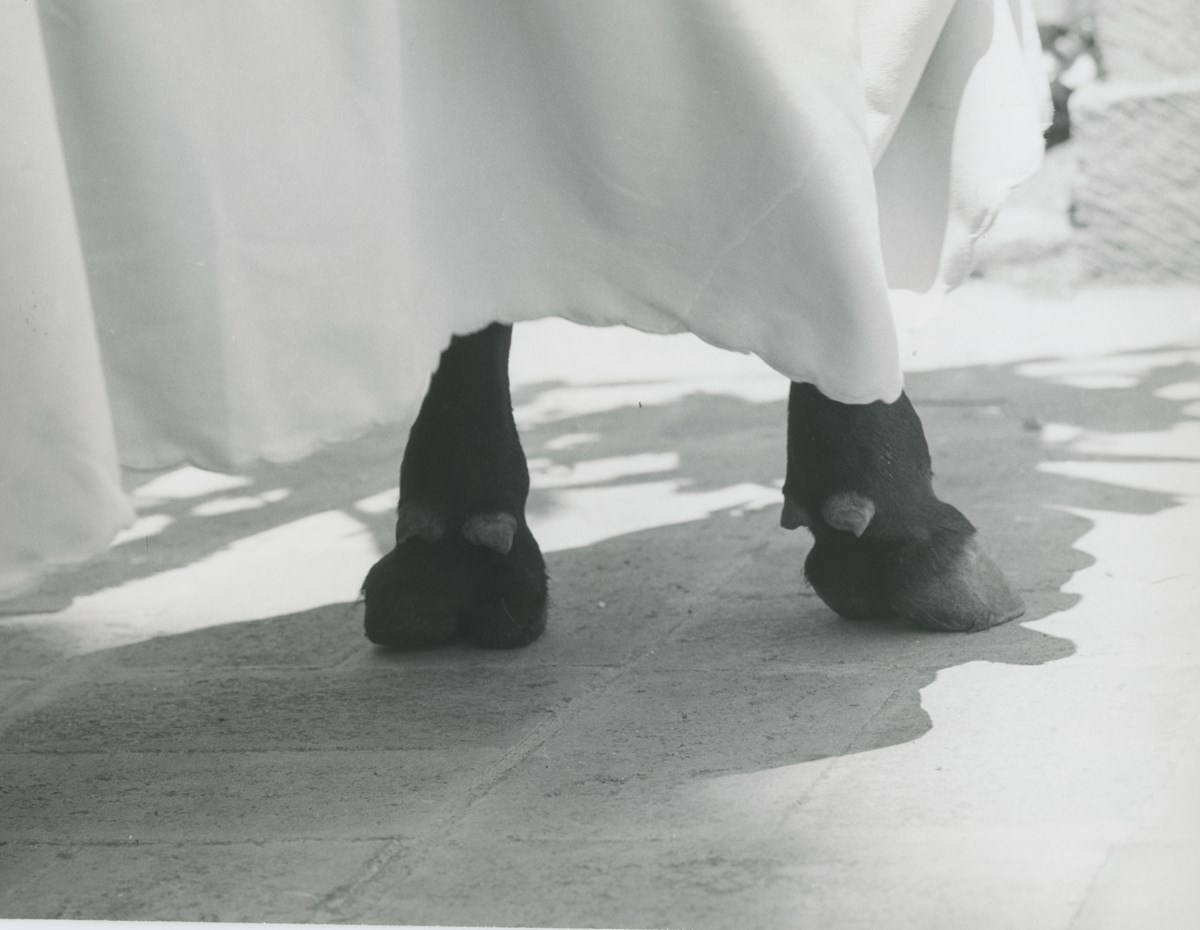 Colette Urbajtel Biography, Artworks & Exhibitions Ocula Artist