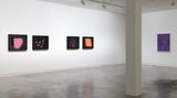 Contemporary art exhibition, Greta Anderson, Conor Clarke, Ann Shelton, Shaun Waugh, Cracker at Two Rooms, Auckland, New Zealand