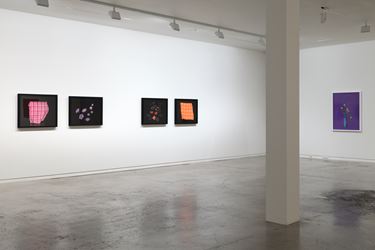 Exhibition view: Cracker, Two Rooms, Auckland (27 November 2020–30 January 2021). Courtesy Two Rooms.