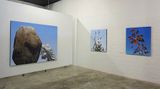 Contemporary art exhibition, Juan Ford, Solo Exhibition at THIS IS NO FANTASY, Melbourne, Australia