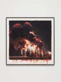 Wildfire (First the Blood, then the Fire) by David Claerbout contemporary artwork painting