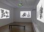 Contemporary art exhibition, Memed Erdener, Namelessform at Zilberman, Berlin, Germany